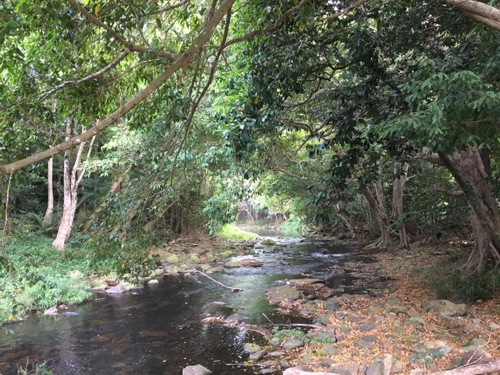 Cairns Crystal Cascades Holiday Park Экстерьер фото